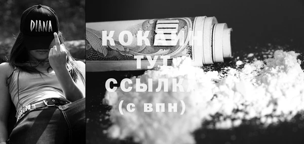 СК Ельня
