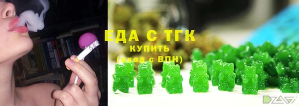 СК Ельня