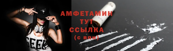 СК Ельня