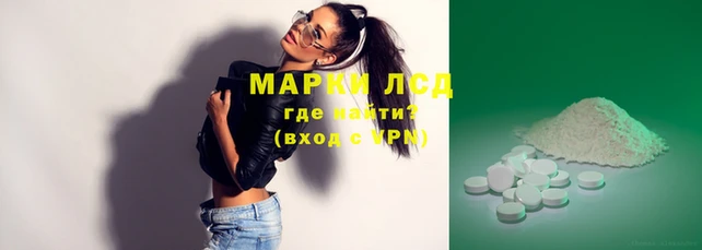 сатива Елизово