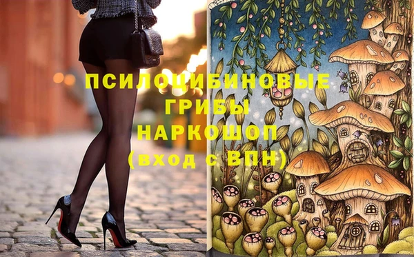 СК Ельня