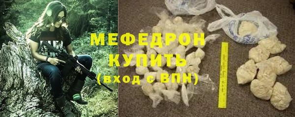 СК Ельня