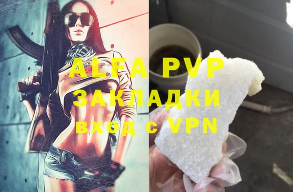 сатива Елизово