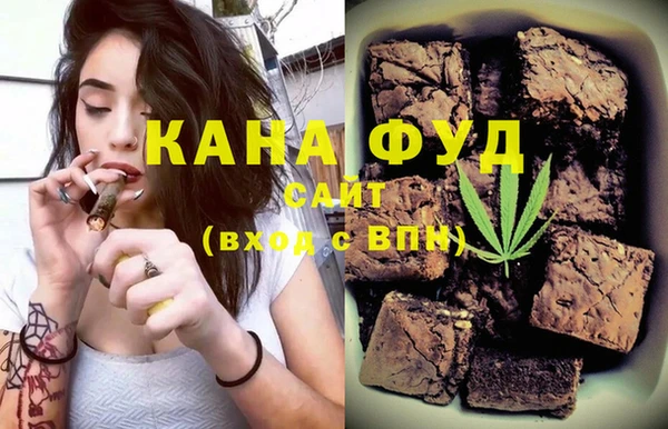 СК Ельня