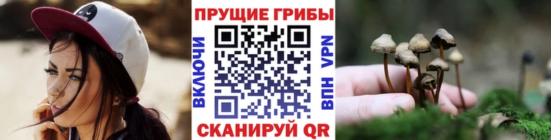 Галлюциногенные грибы прущие грибы  Купить закладки  Корсаков 